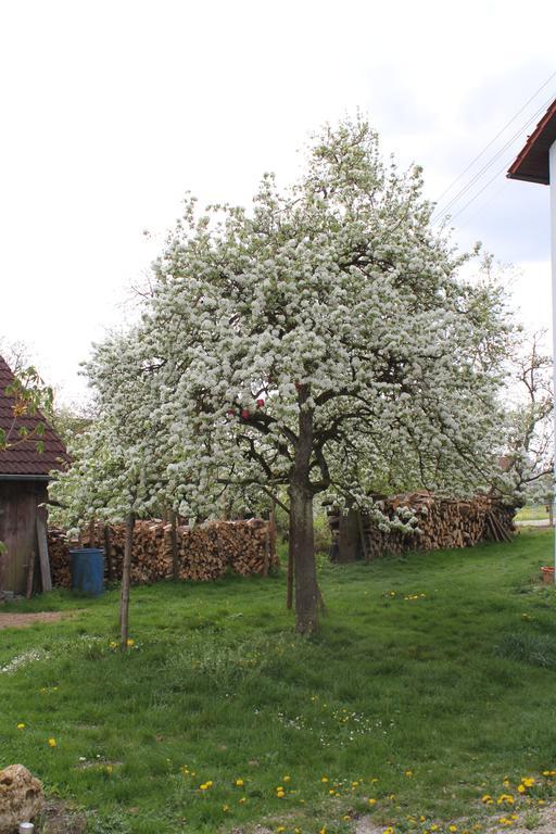 Landgasthof Weberhans Харбург Екстериор снимка